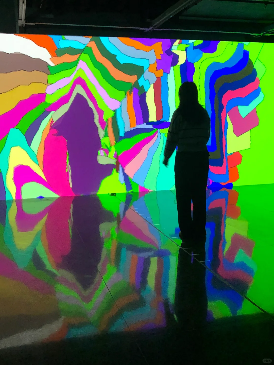 ?深圳新展︳免费赠?，数字世界的生命体?