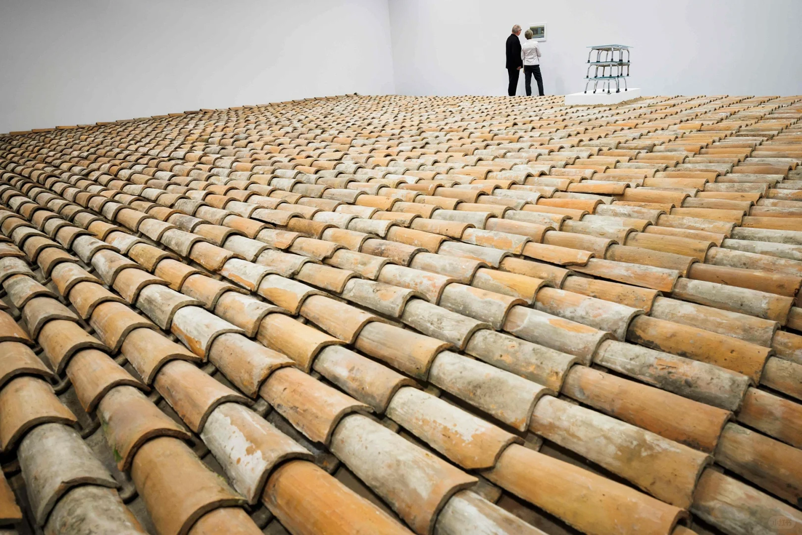 抬头看艺术?2025香港巴塞尔亮点全攻略