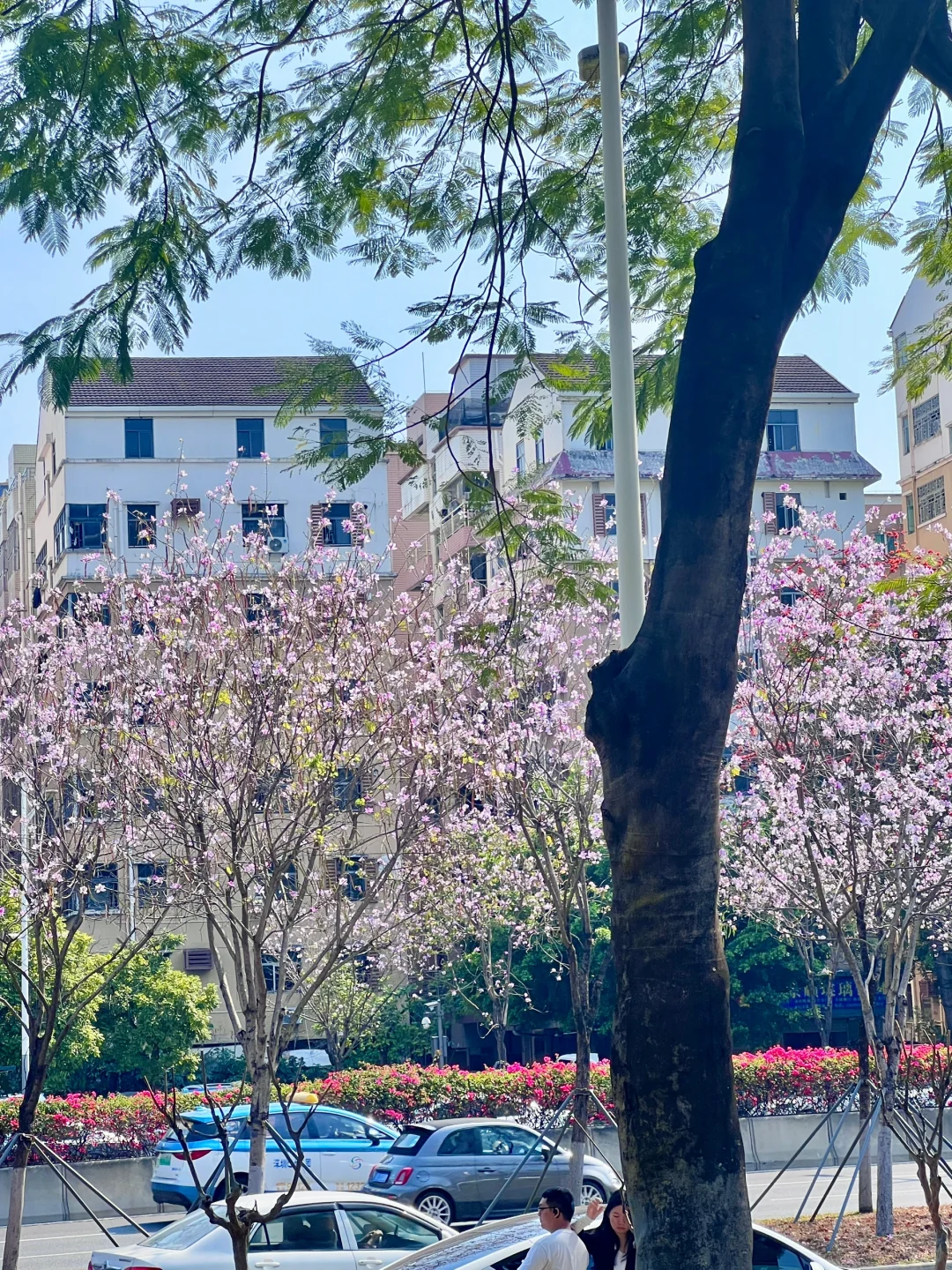 阿里PLOG|外贸人最值得来的展会❗️❗️