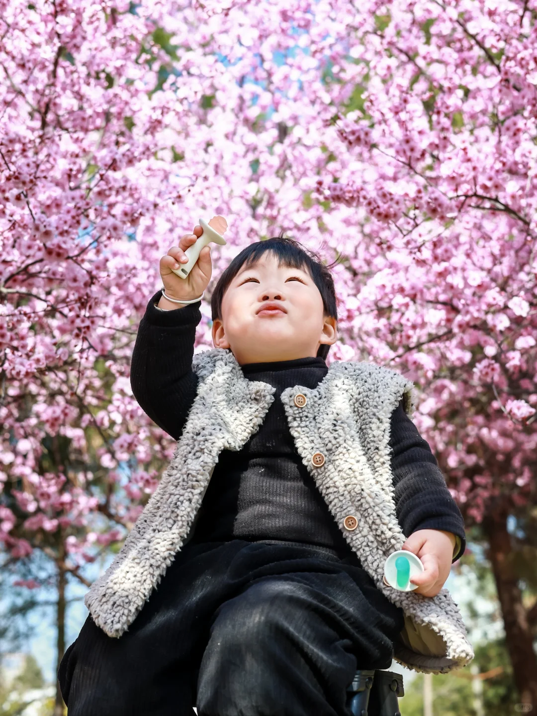 3.18实拍，带娃打卡，被粉花海?包围的大玉米