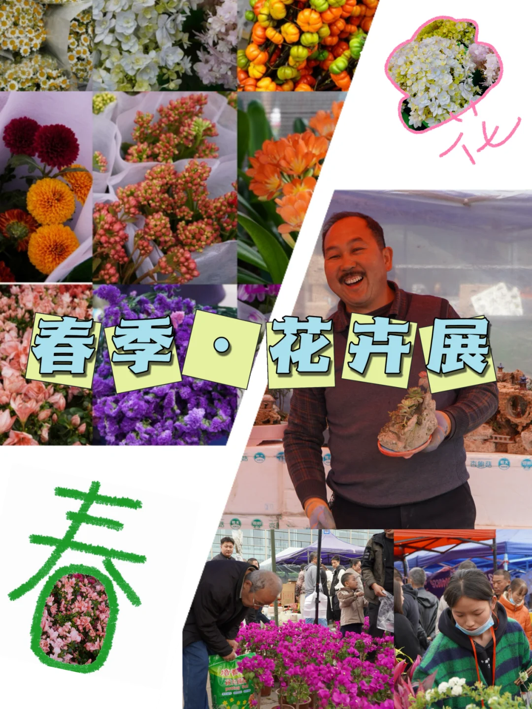 宝藏甘肃｜就在兰州！周末一定去逛花展