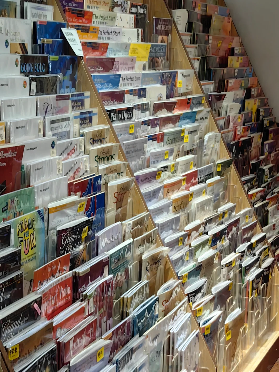 一上岛就被展览吸引走啦