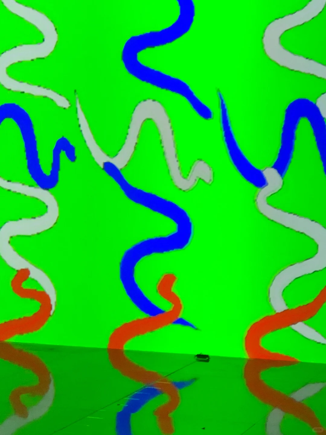 ?深圳新展︳免费赠?，数字世界的生命体?