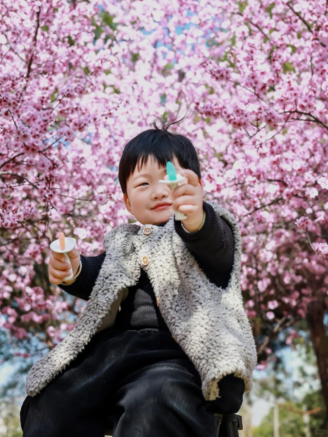 3.18实拍，带娃打卡，被粉花海?包围的大玉米