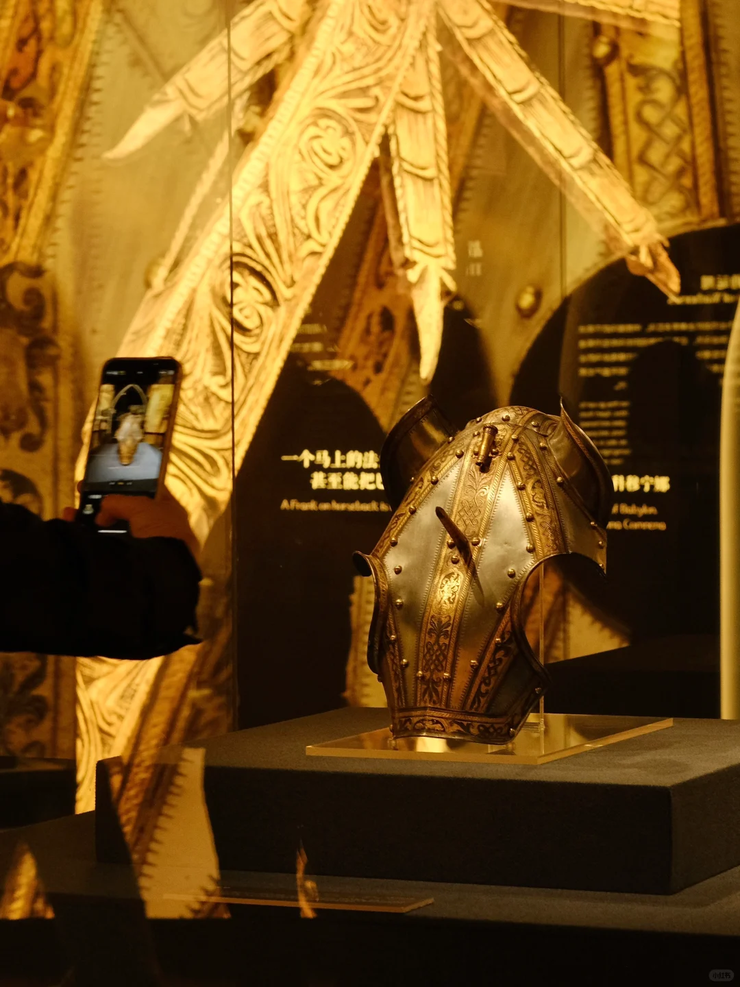 深圳必看｜都灵王宫140+文物首展‼️（免费）