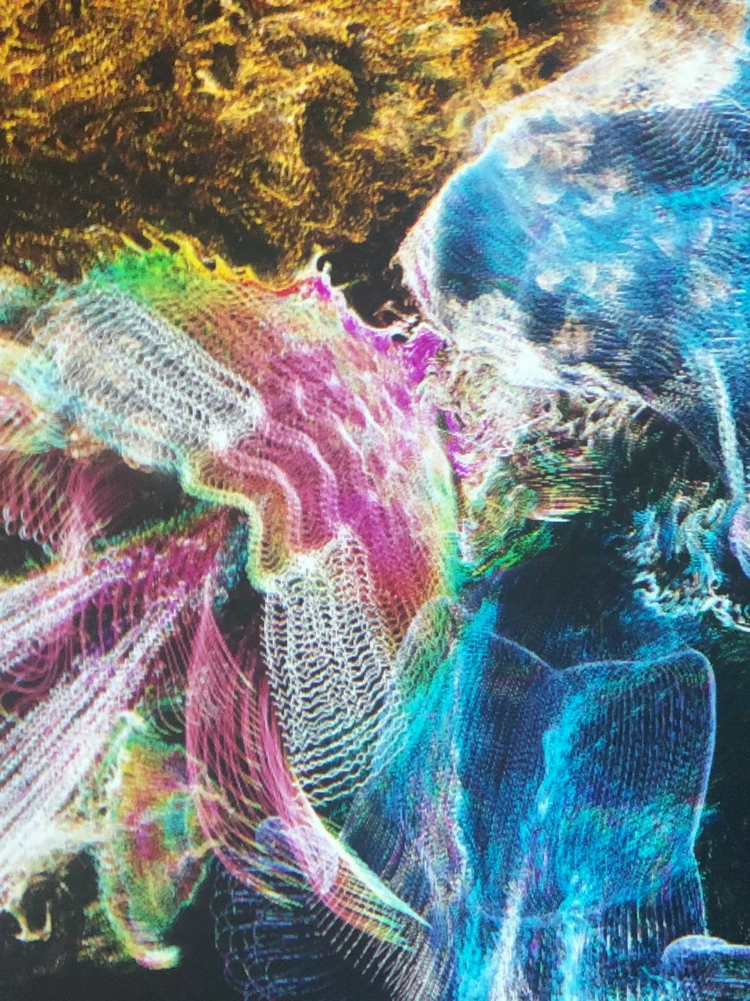 ?深圳新展︳免费赠?，数字世界的生命体?