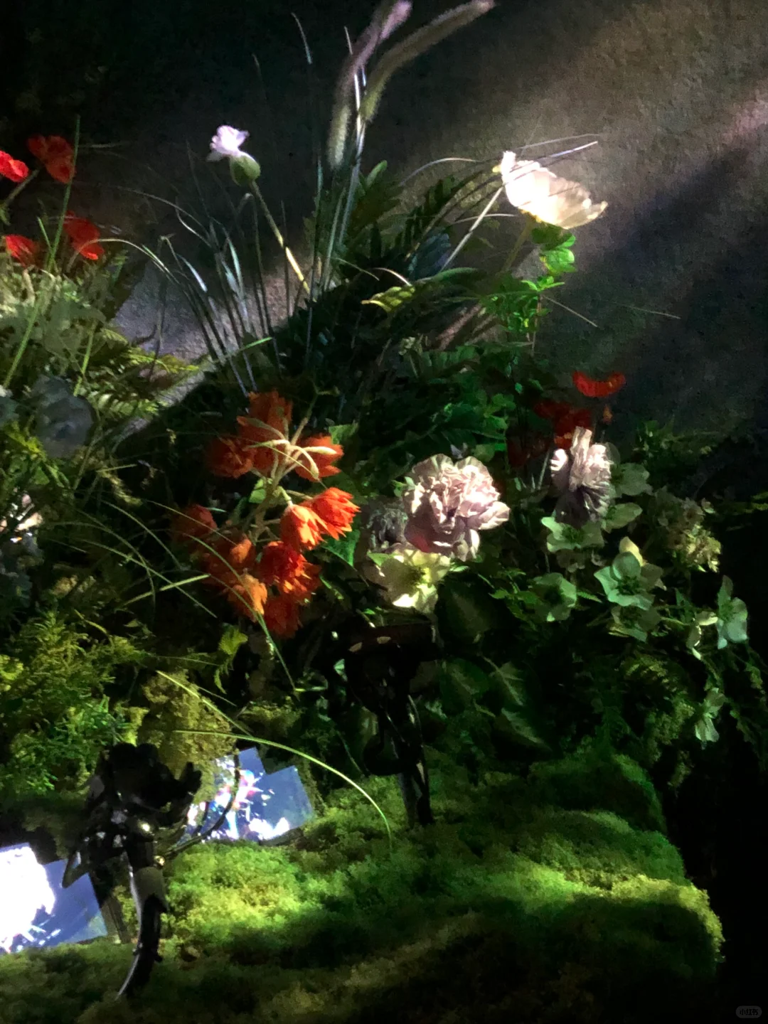 ?深圳新展︳免费赠?，数字世界的生命体?