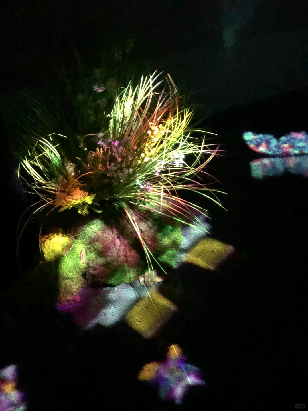 ?深圳新展︳免费赠?，数字世界的生命体?