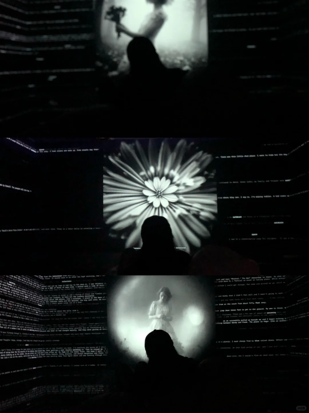 ?深圳新展︳免费赠?，数字世界的生命体?