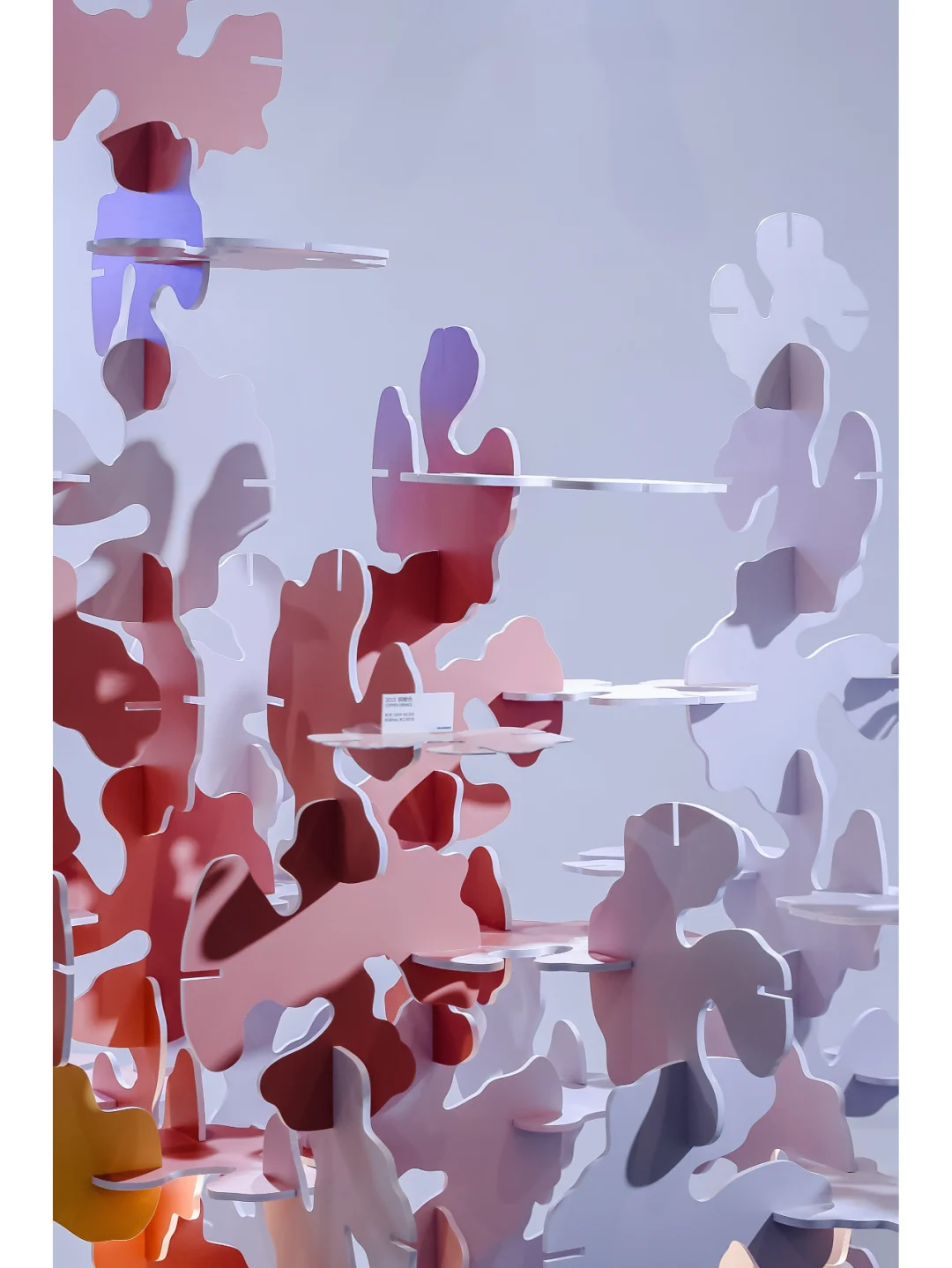 我们在AWE家电展办了一个可持续设计展