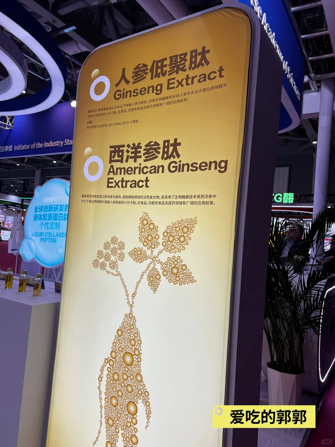 郭郭逛食品原料FIC展会中…