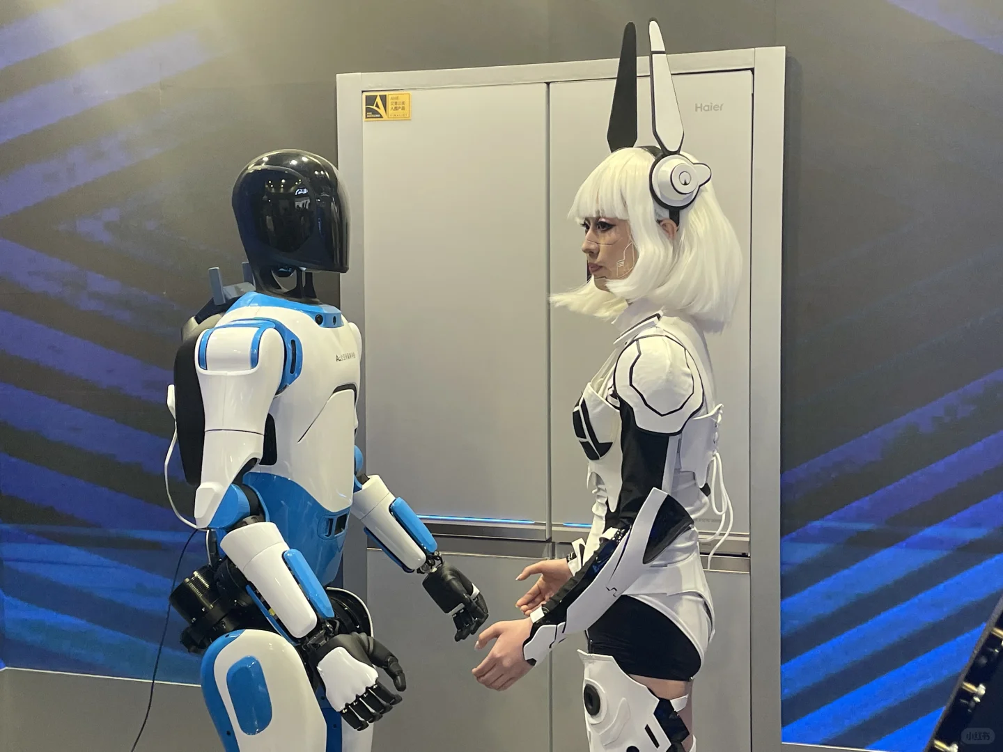 赢麻了！上海Awe家博会大型追星现场！！！