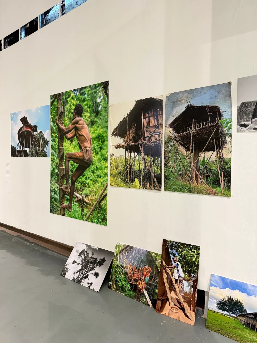 深圳看展！仿佛穿越雨林探秘?