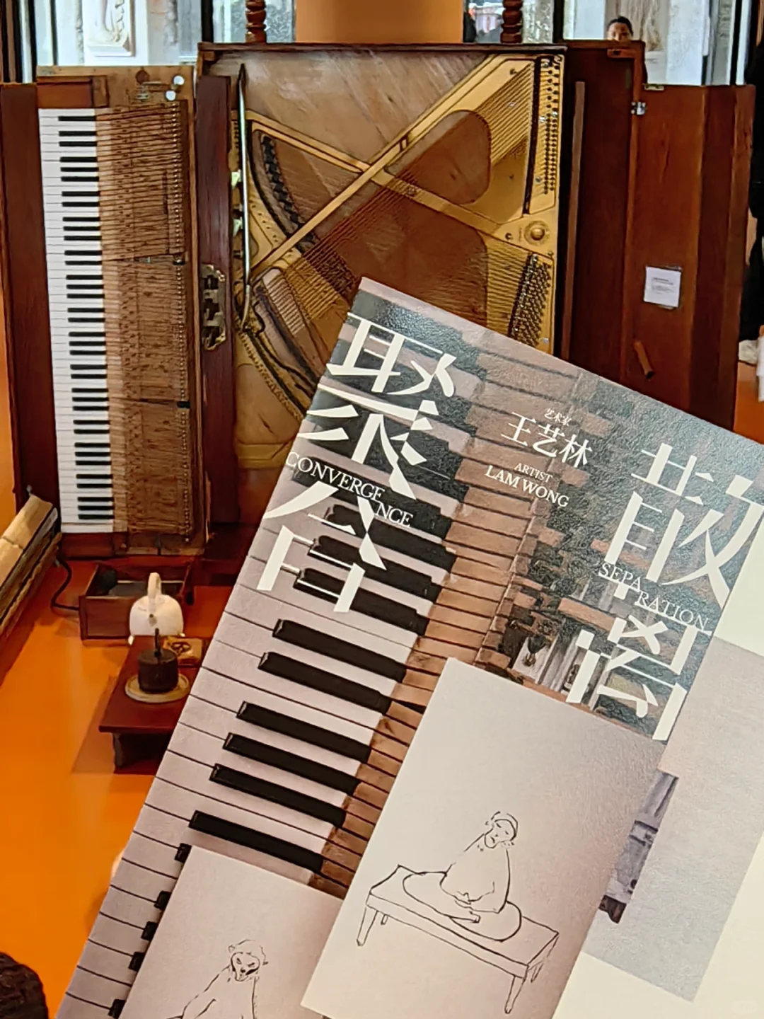 一上岛就被展览吸引走啦