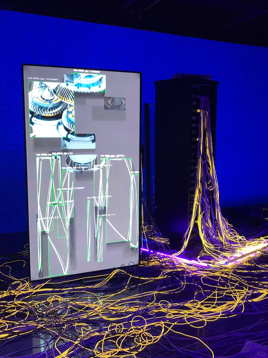 ?深圳新展︳免费赠?，数字世界的生命体?