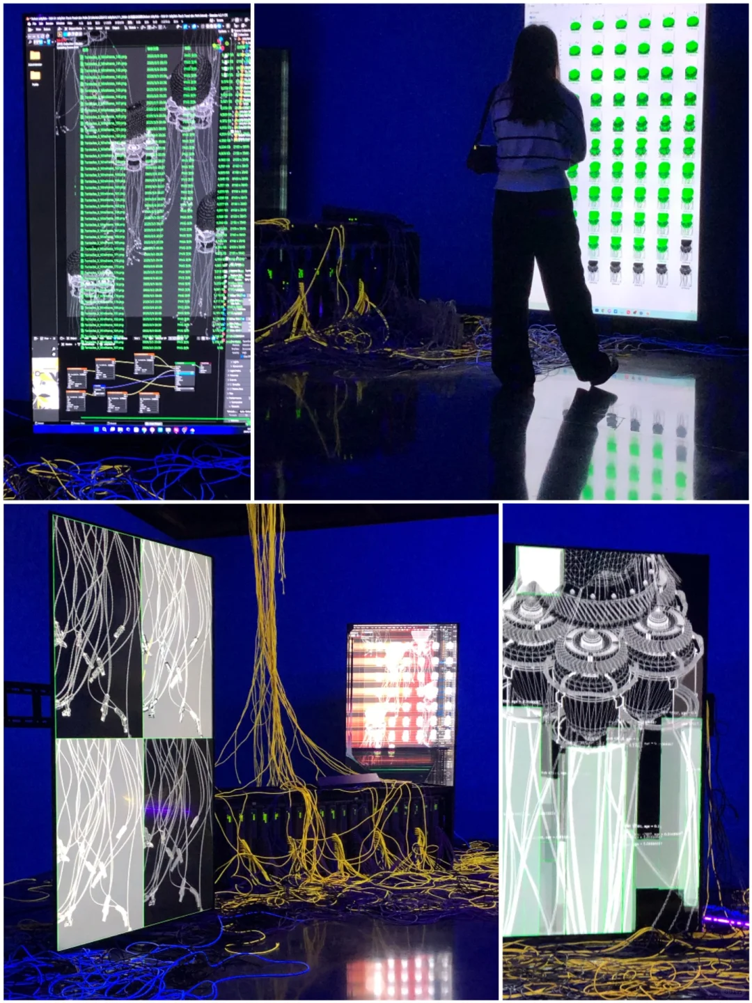 ?深圳新展︳免费赠?，数字世界的生命体?