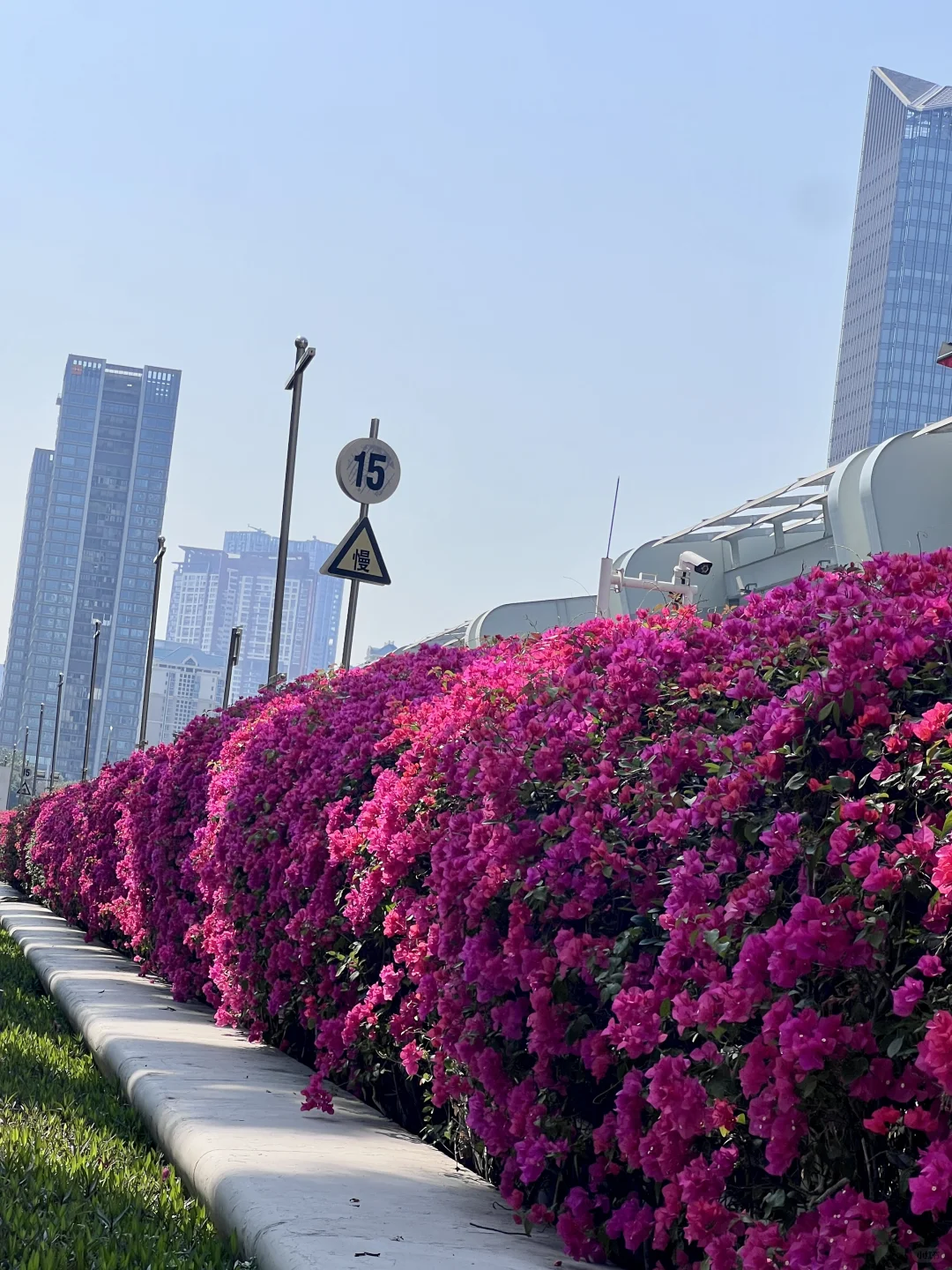 阿里PLOG|外贸人最值得来的展会❗️❗️