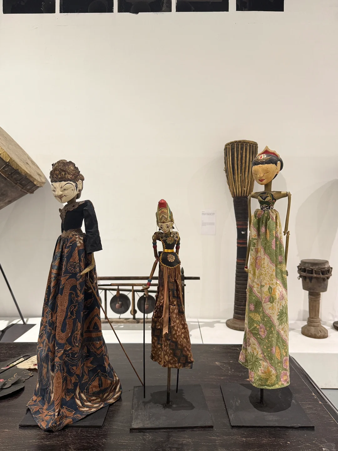 深圳看展！仿佛穿越雨林探秘?