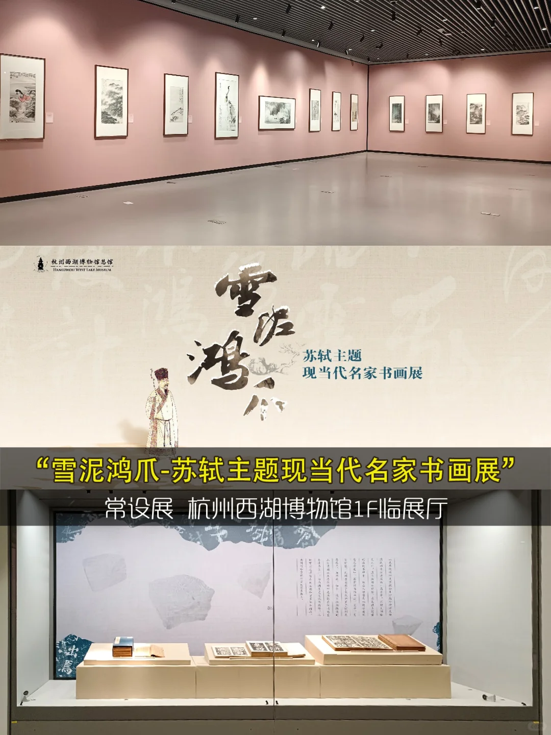 杭州看展❤️3月免费展览9️⃣2️⃣个合集