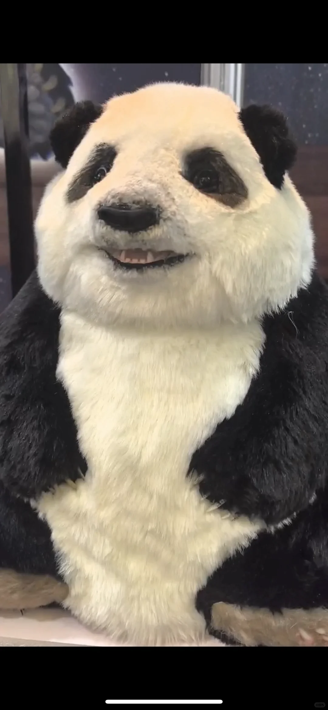 上海AWE展会上有什么陪伴黑科技？