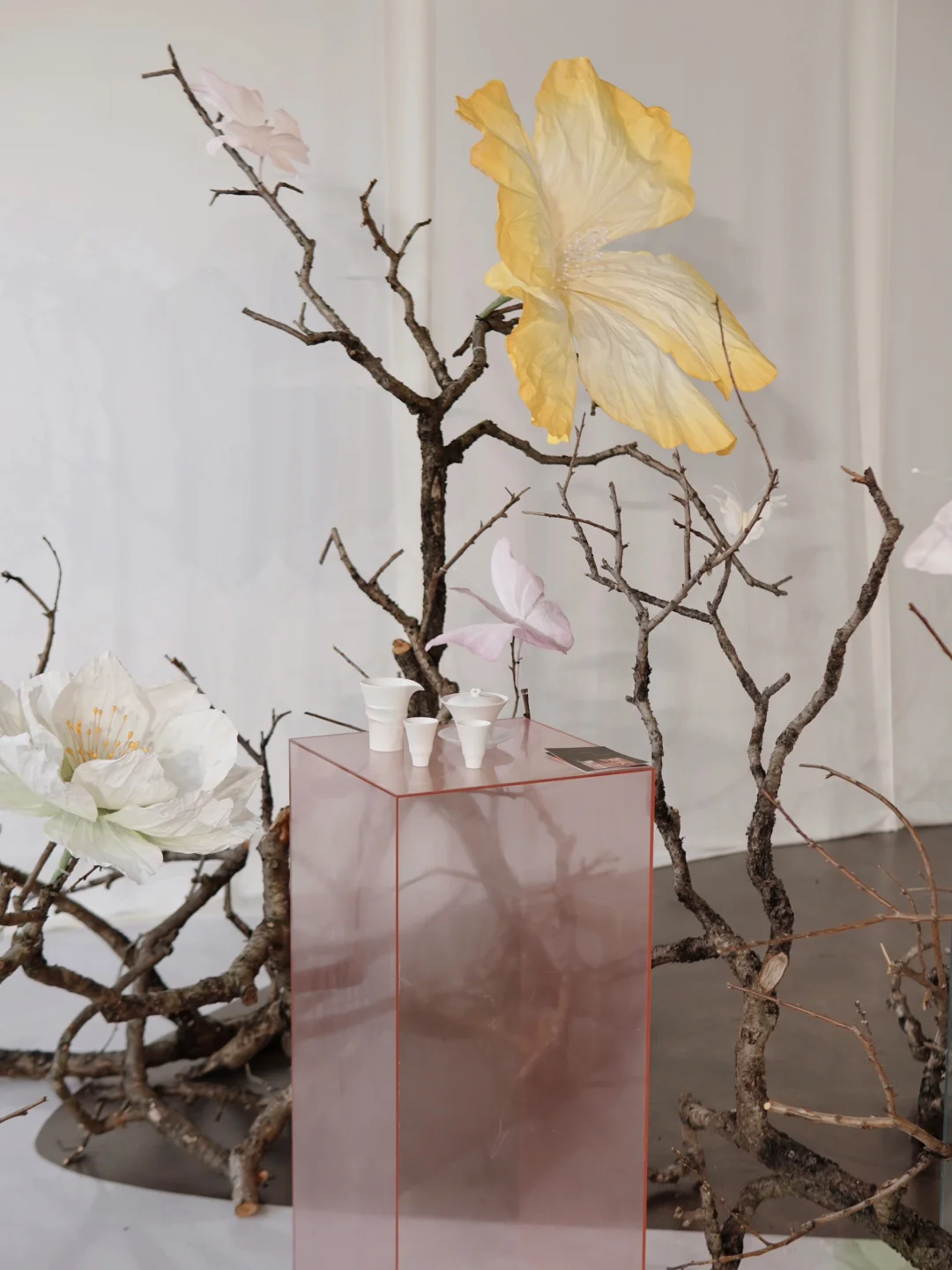 上海新展丨一封春日来信 重读“花开的意义”