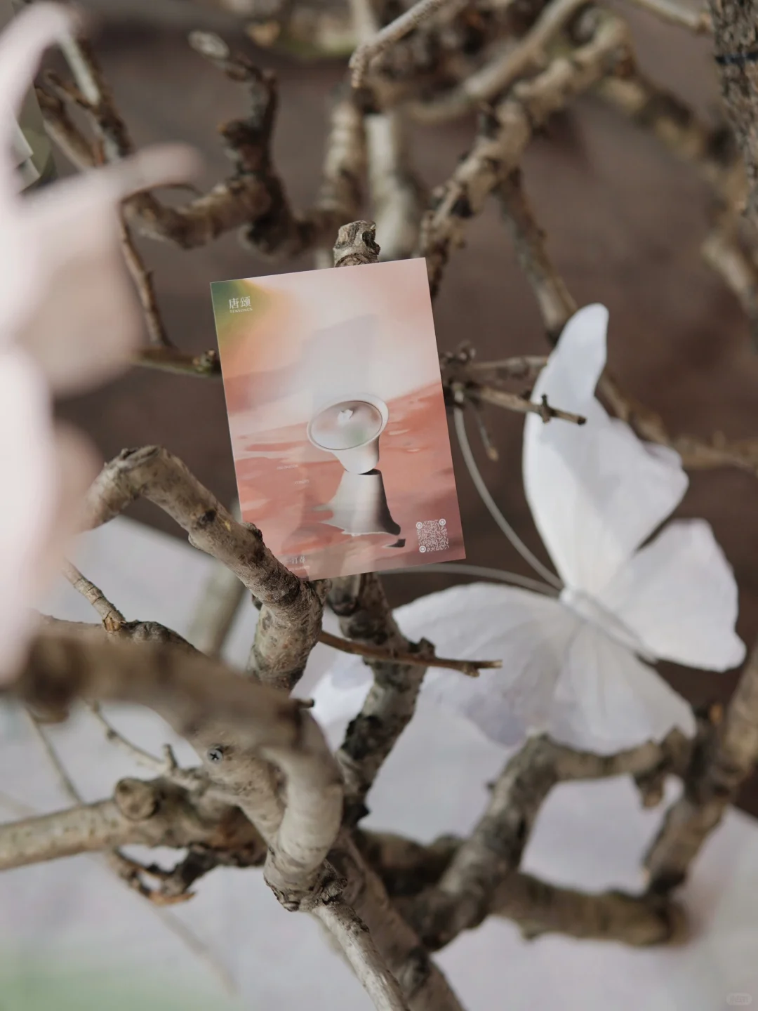 上海新展丨一封春日来信 重读“花开的意义”