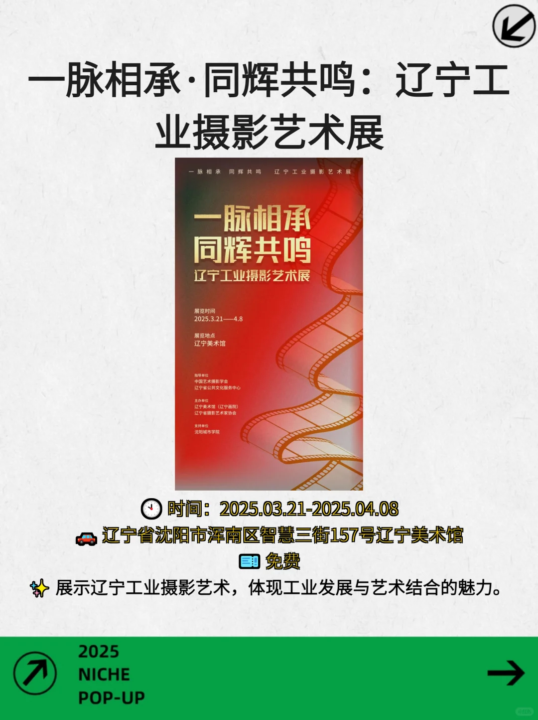 拒绝宅家！沈阳本周高质感文青活动速报