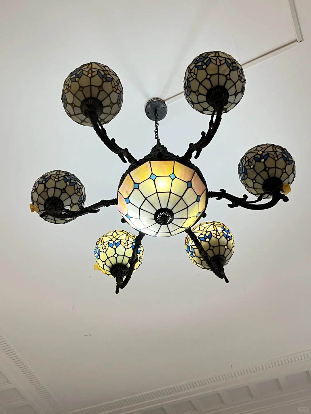 “毕加索与猫”装置艺术展