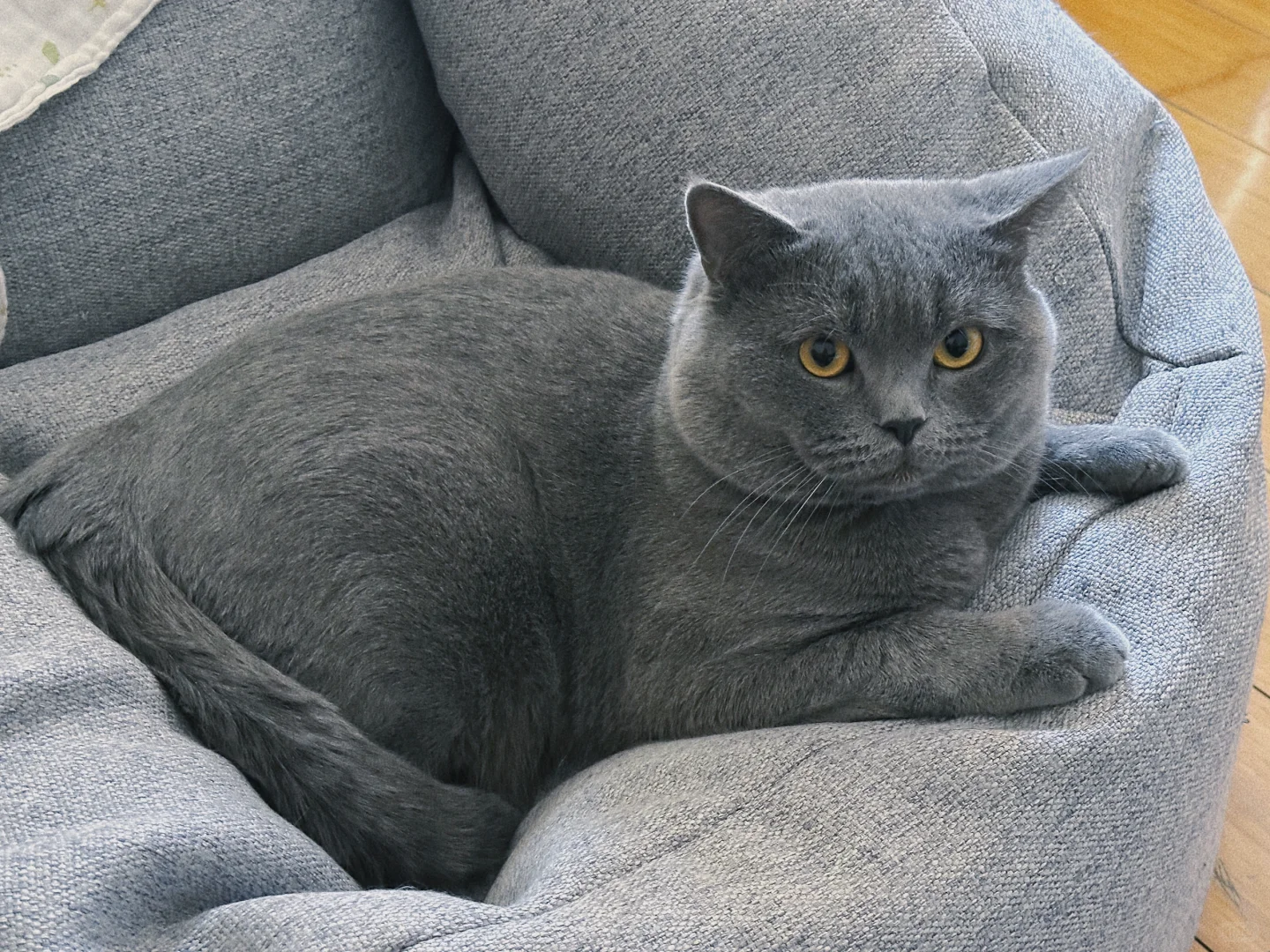 蓝儿子镇场｜3.30-4.3日去游学