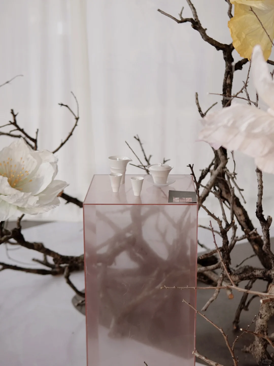 上海新展丨一封春日来信 重读“花开的意义”