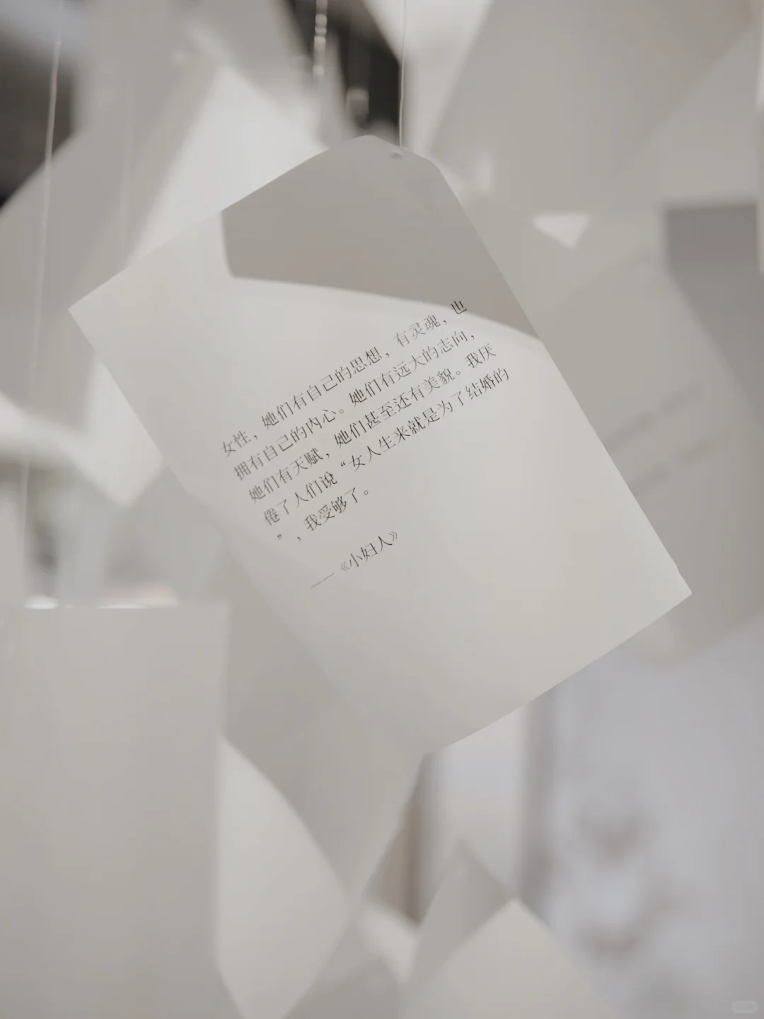 上海新展丨一封春日来信 重读“花开的意义”