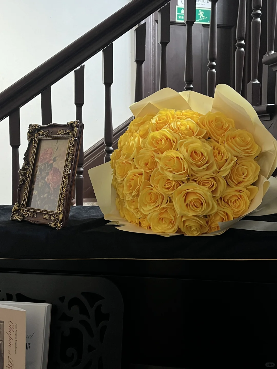 “毕加索与猫”装置艺术展