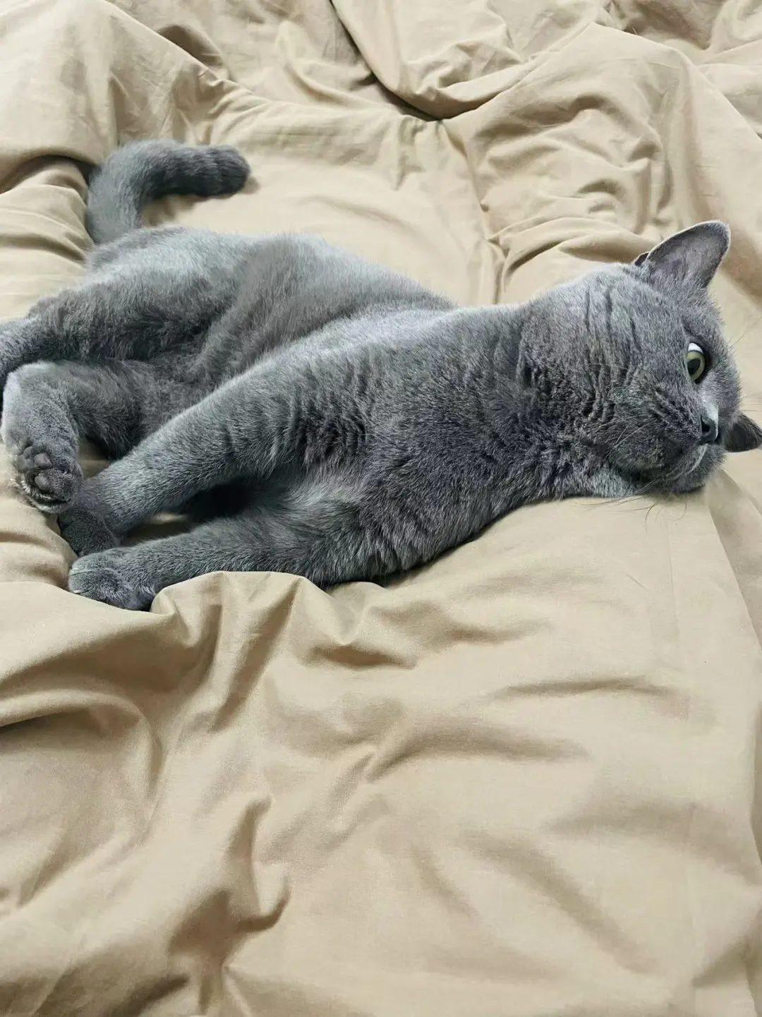 蓝儿子镇场｜3.30-4.3日去游学