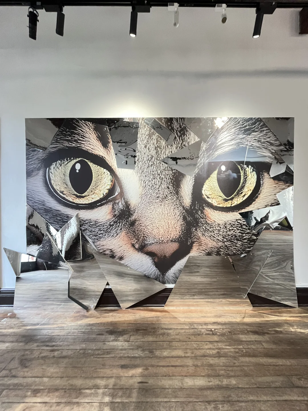 “毕加索与猫”装置艺术展