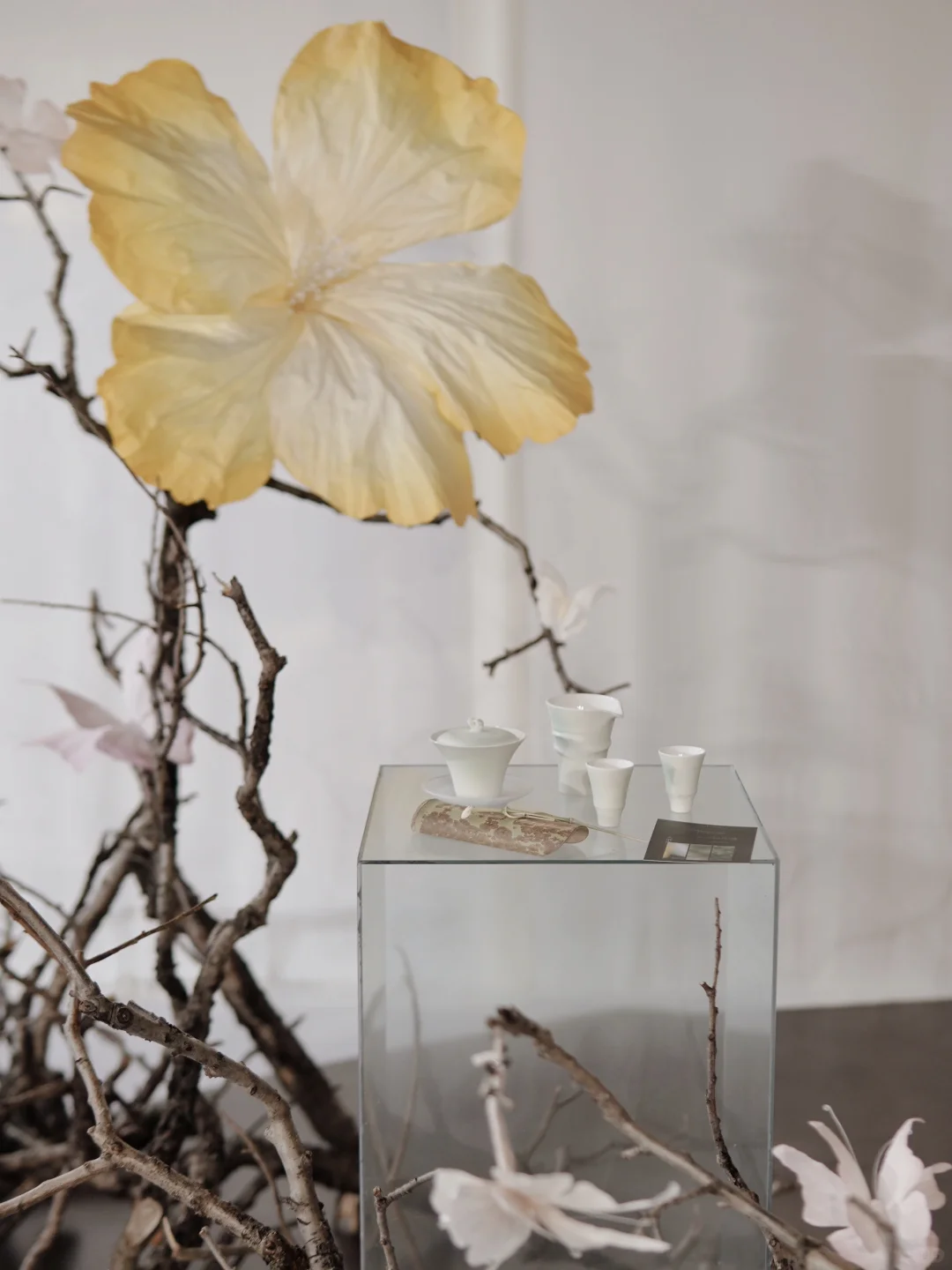 上海新展丨一封春日来信 重读“花开的意义”