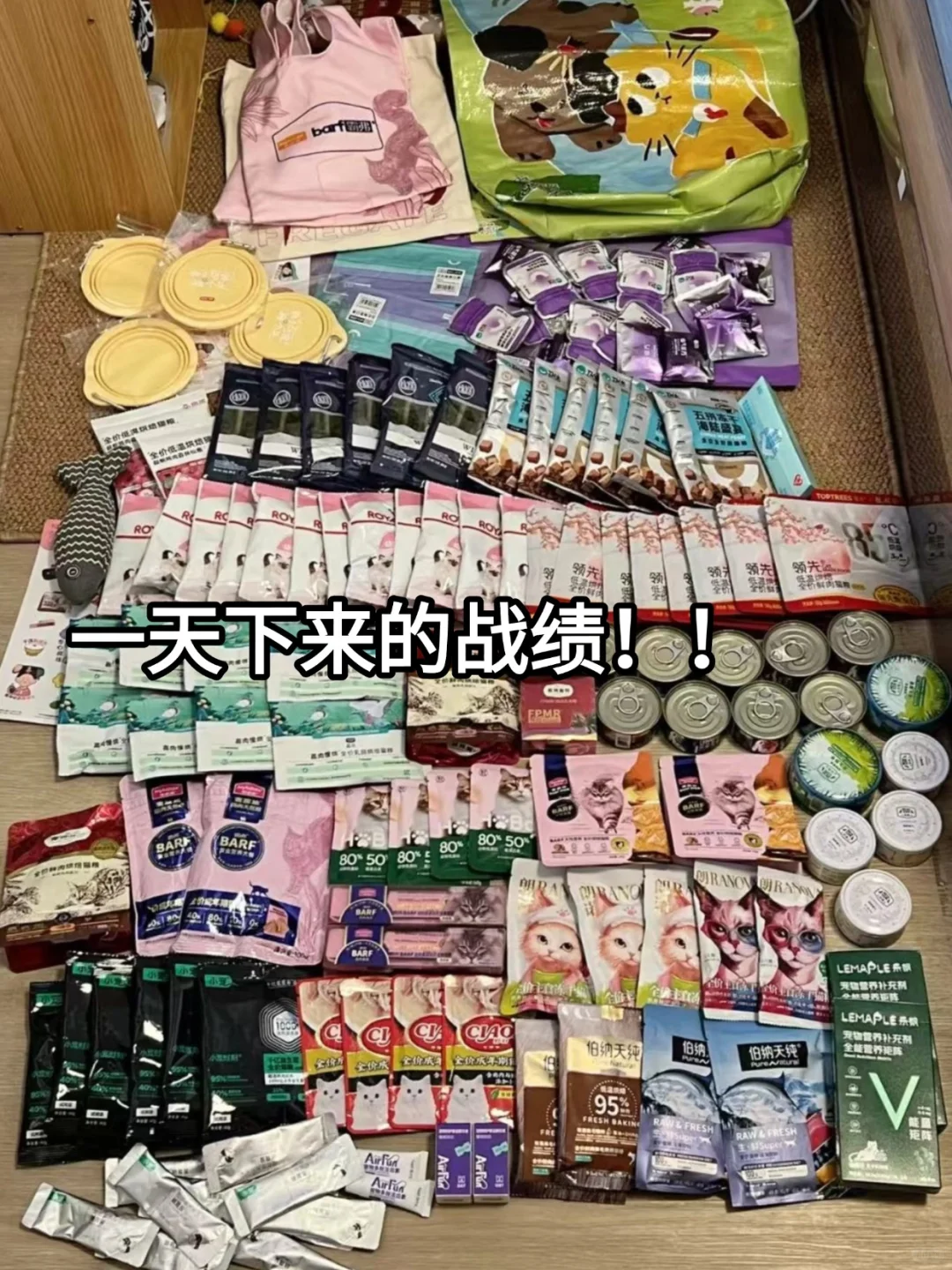 南京宠物展门?没人想要吗?附逛展攻略