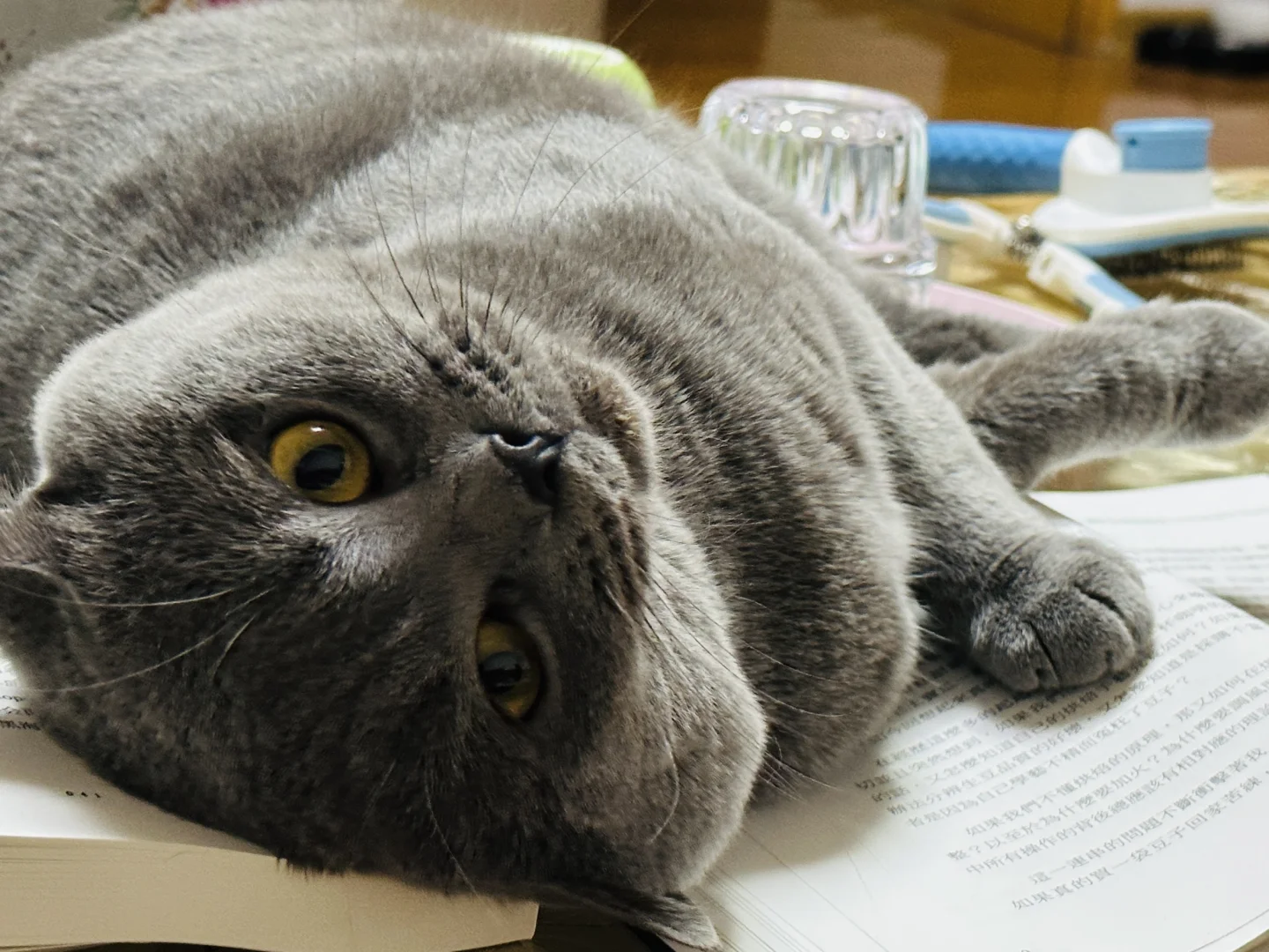 蓝儿子镇场｜3.30-4.3日去游学