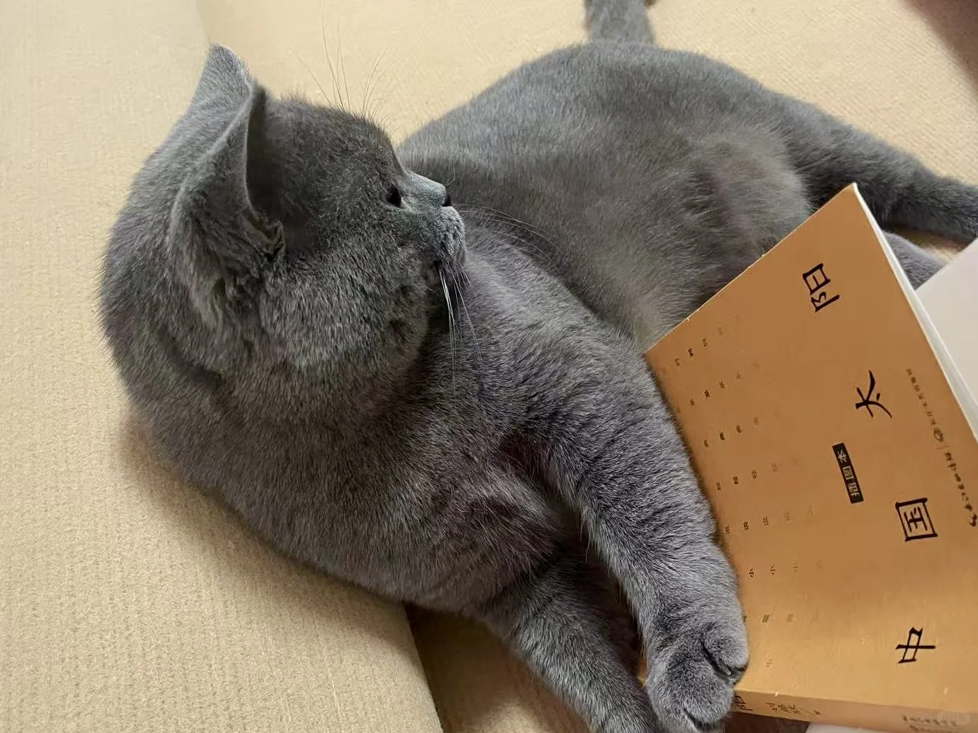 蓝儿子镇场｜3.30-4.3日去游学