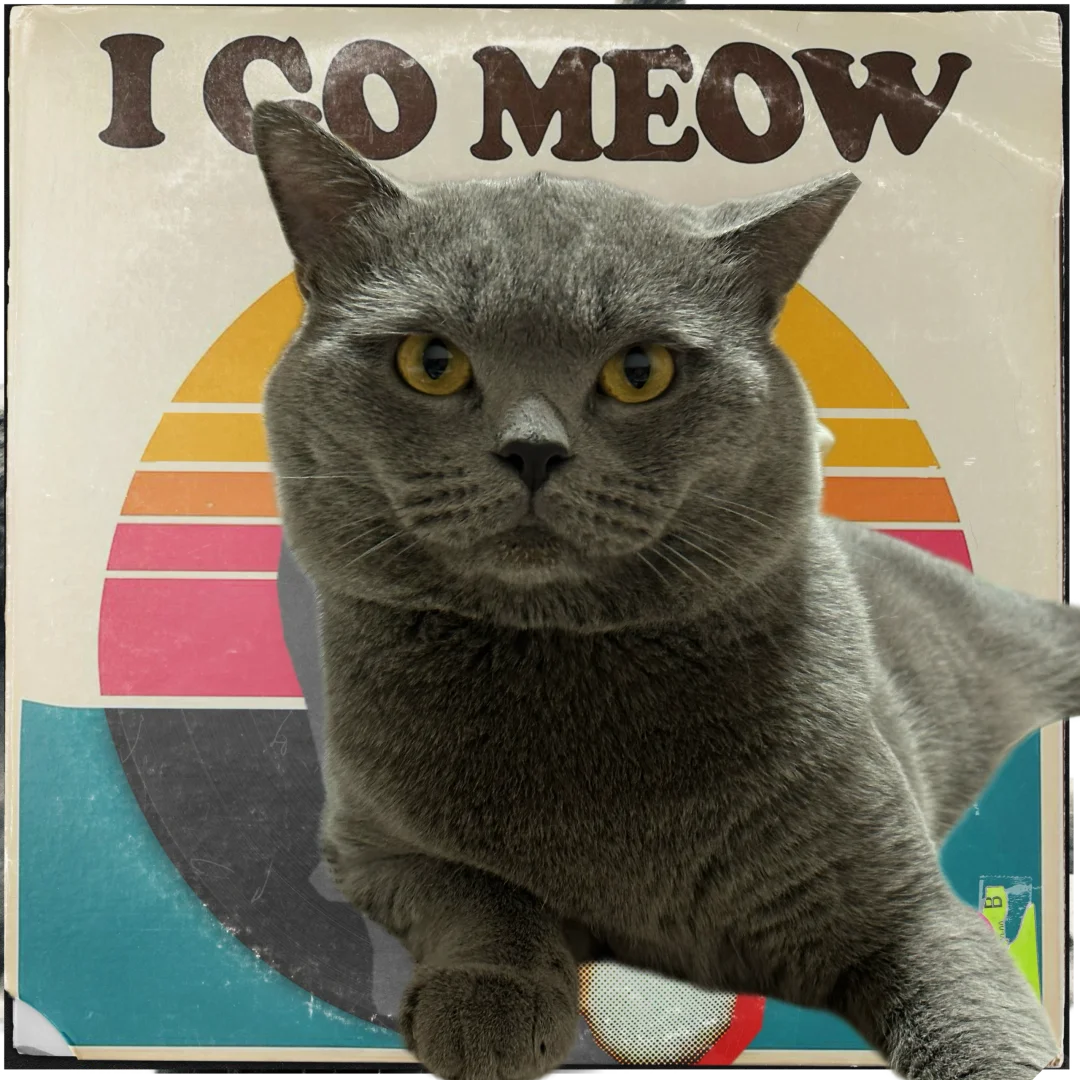 蓝儿子镇场｜3.30-4.3日去游学