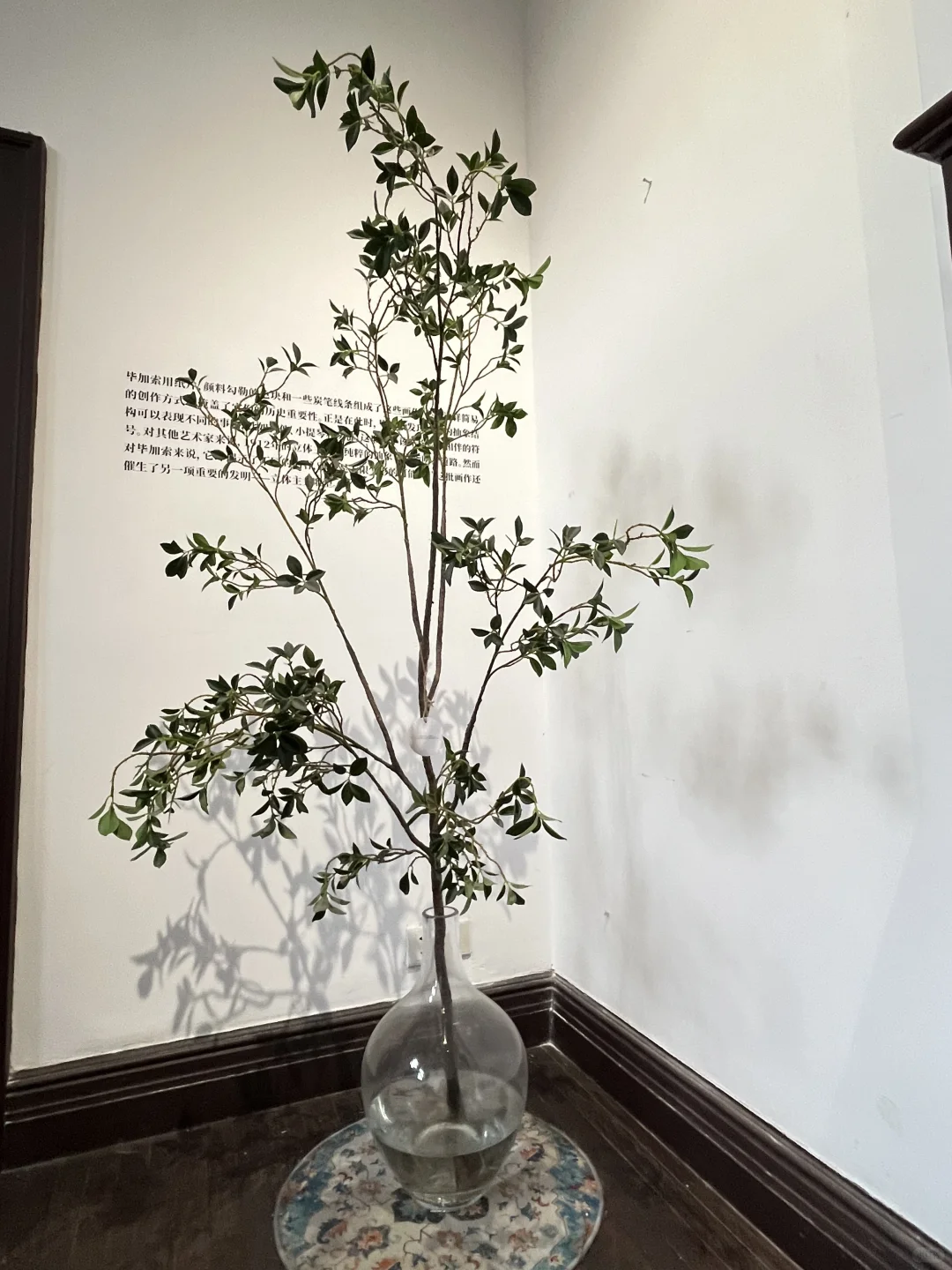 “毕加索与猫”装置艺术展