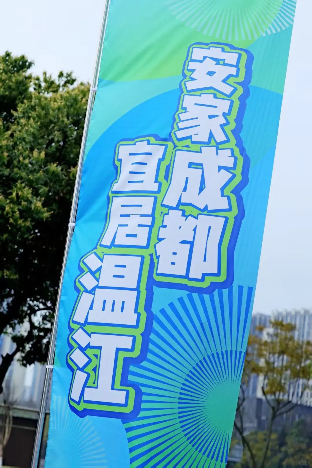 温江打卡必去！这里的展会比艺术展还好玩！