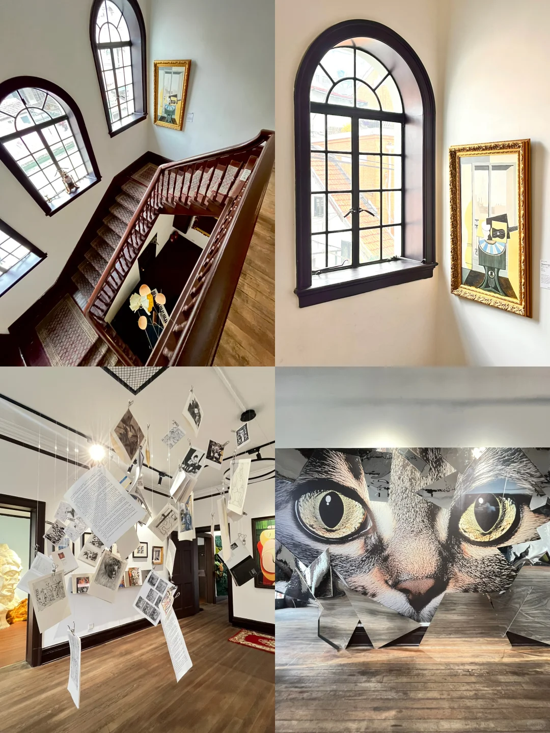 “毕加索与猫”装置艺术展