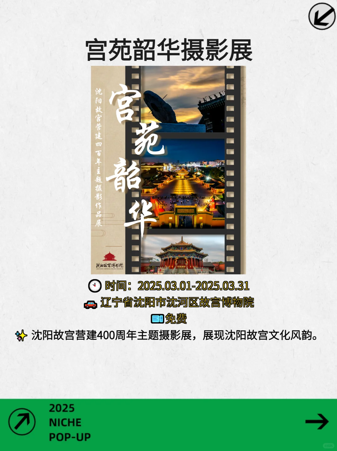 拒绝宅家！沈阳本周高质感文青活动速报