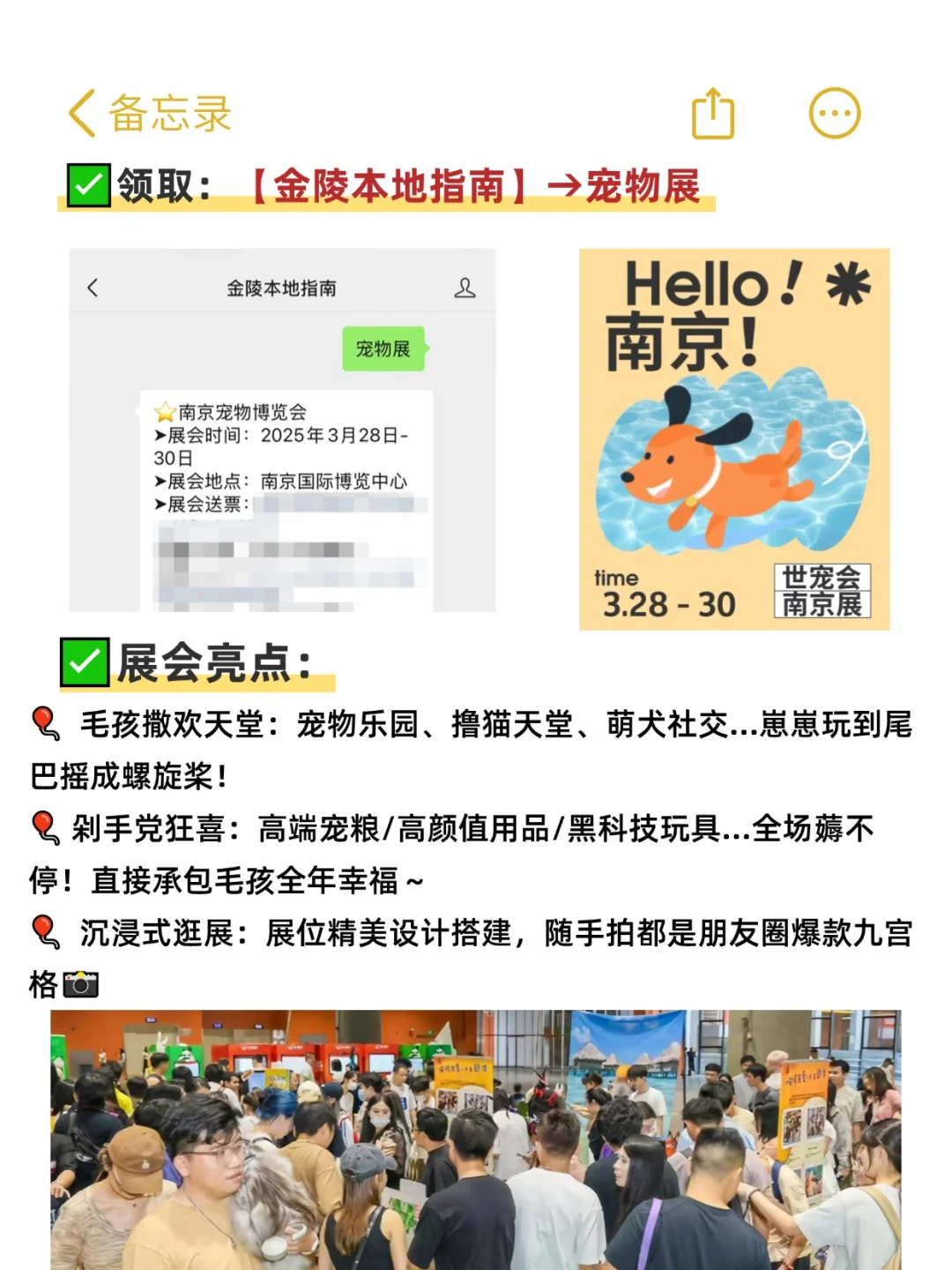 南京宠物展门?没人想要吗?附逛展攻略