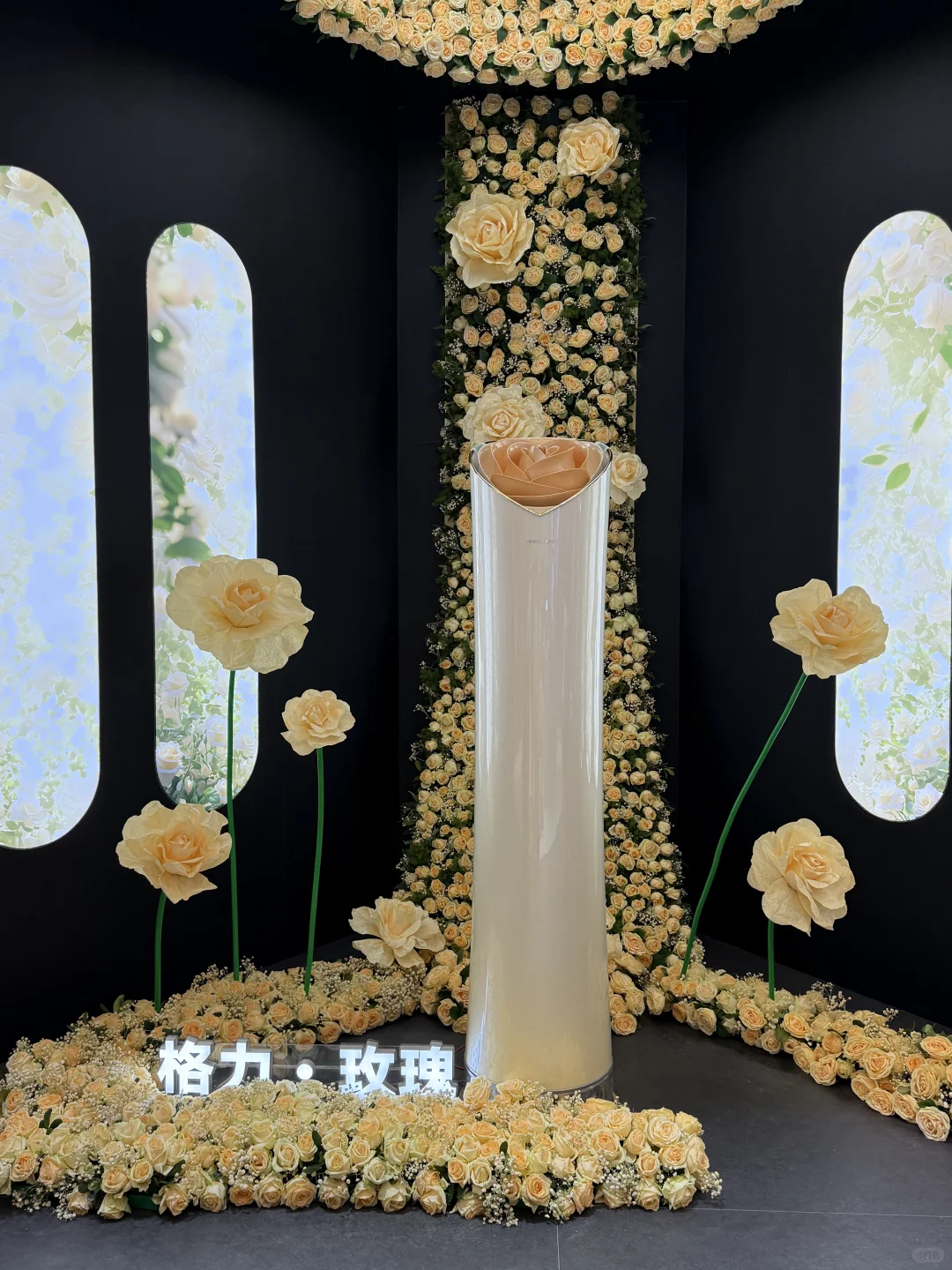 AWE2025格力展区逛展攻略?格力真的sha疯了