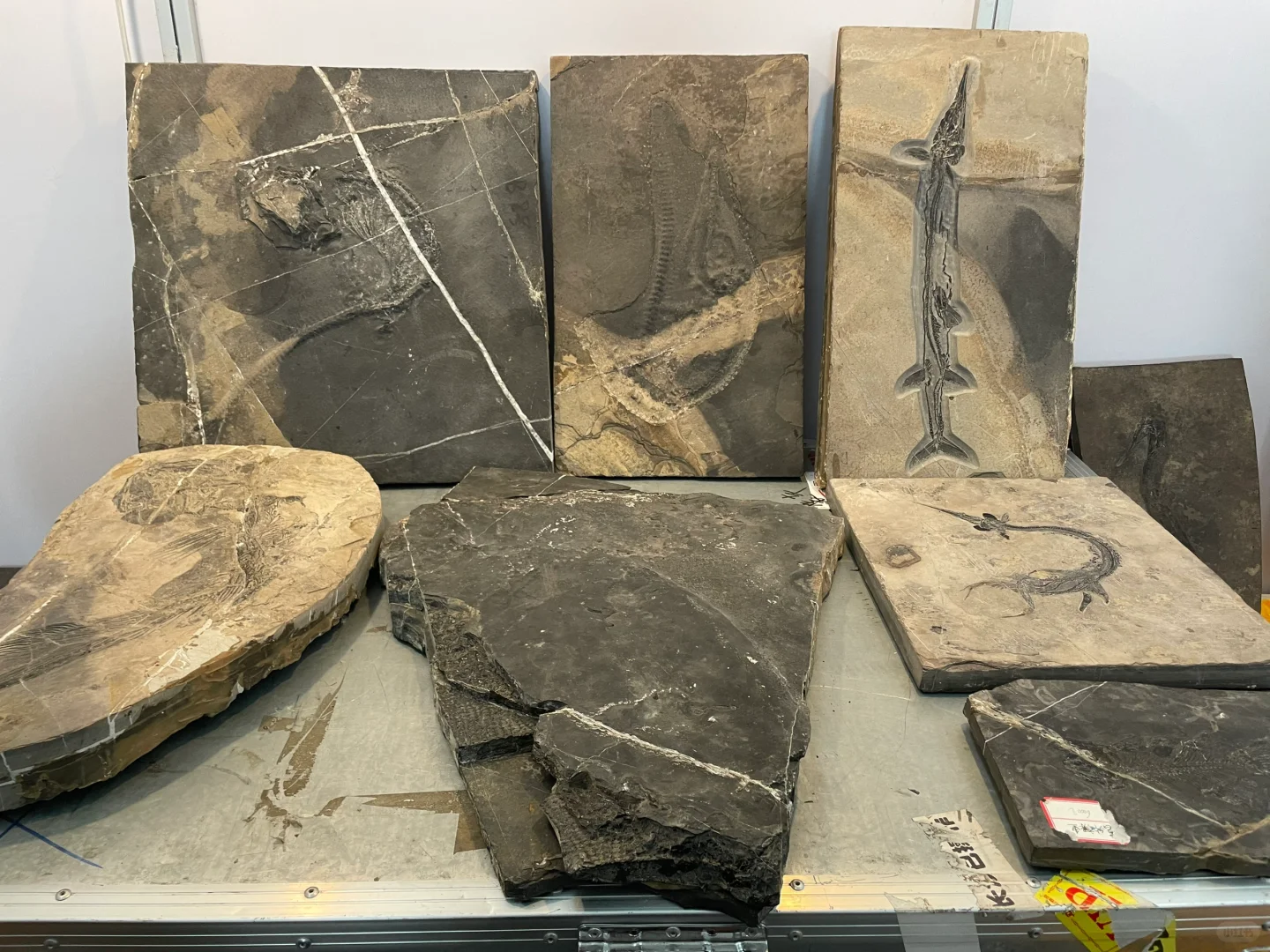 南京矿物化石博览会-一角