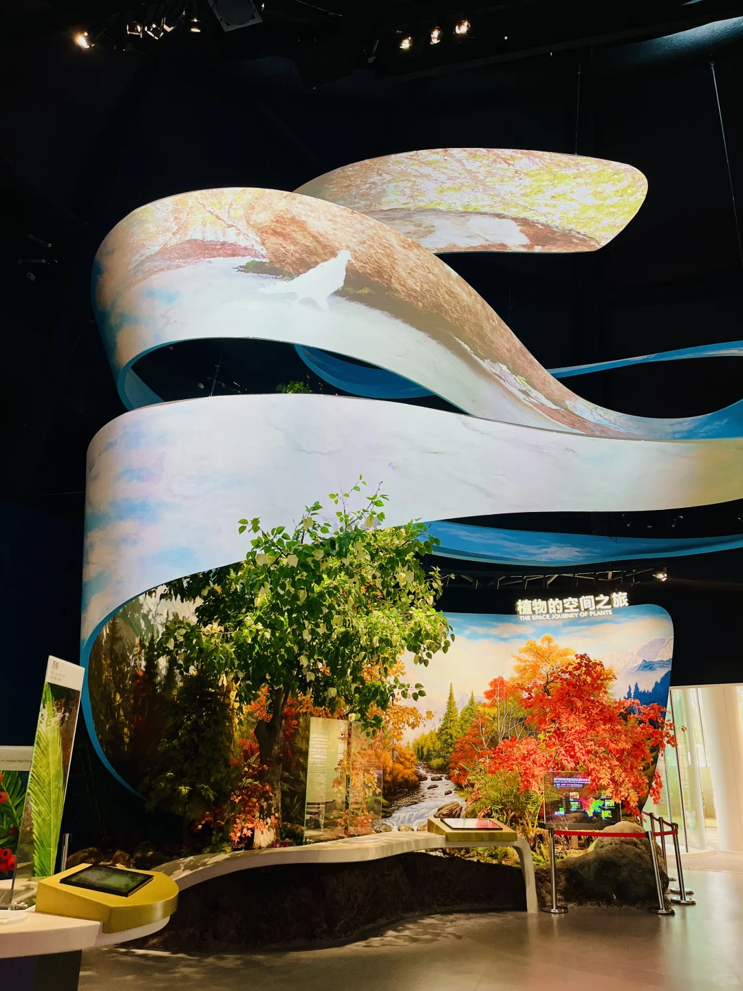 ?【成都世纪园艺博览会】免费打卡！美到犯规