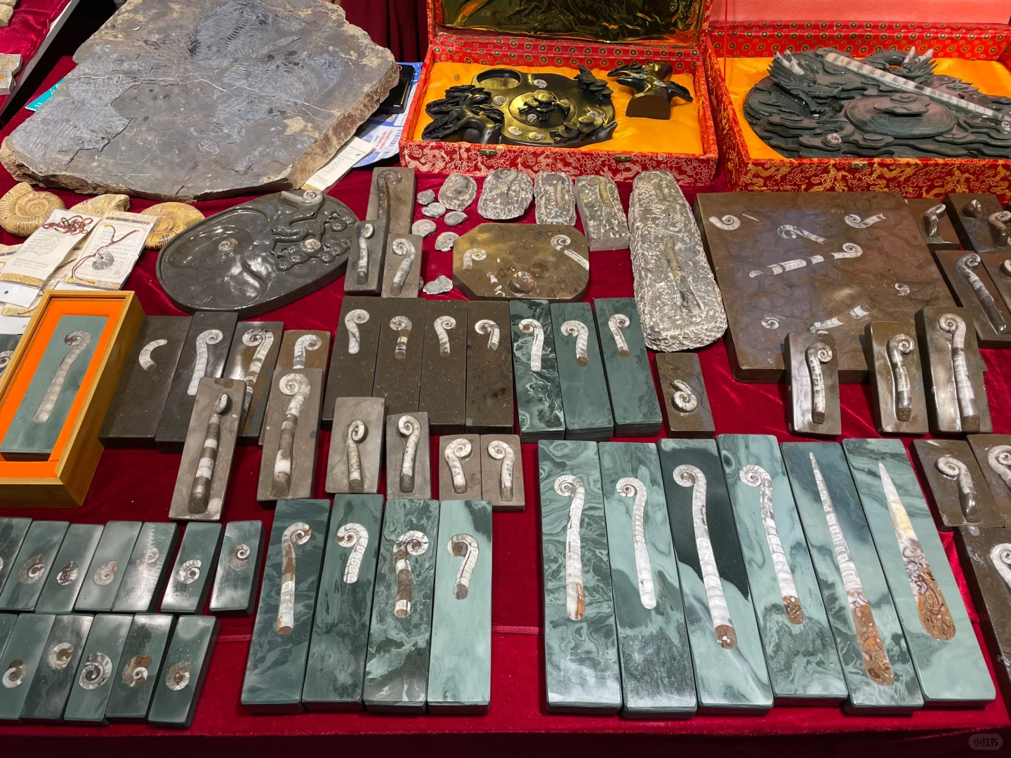 南京矿物化石博览会-一角