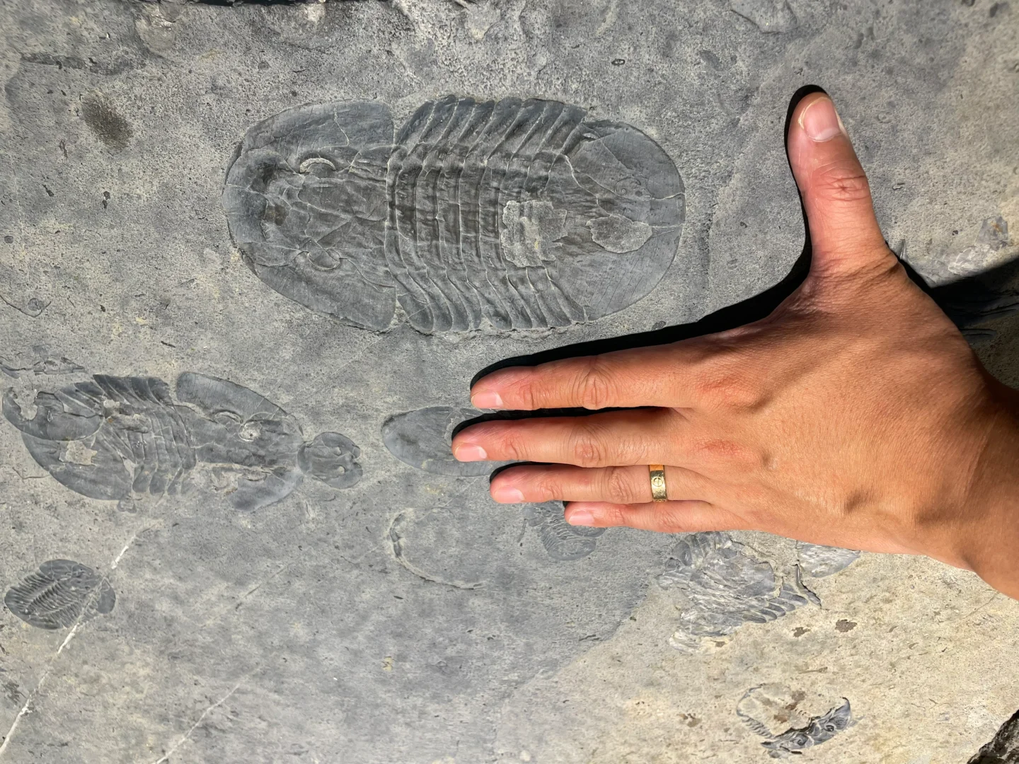 南京矿物化石博览会-一角