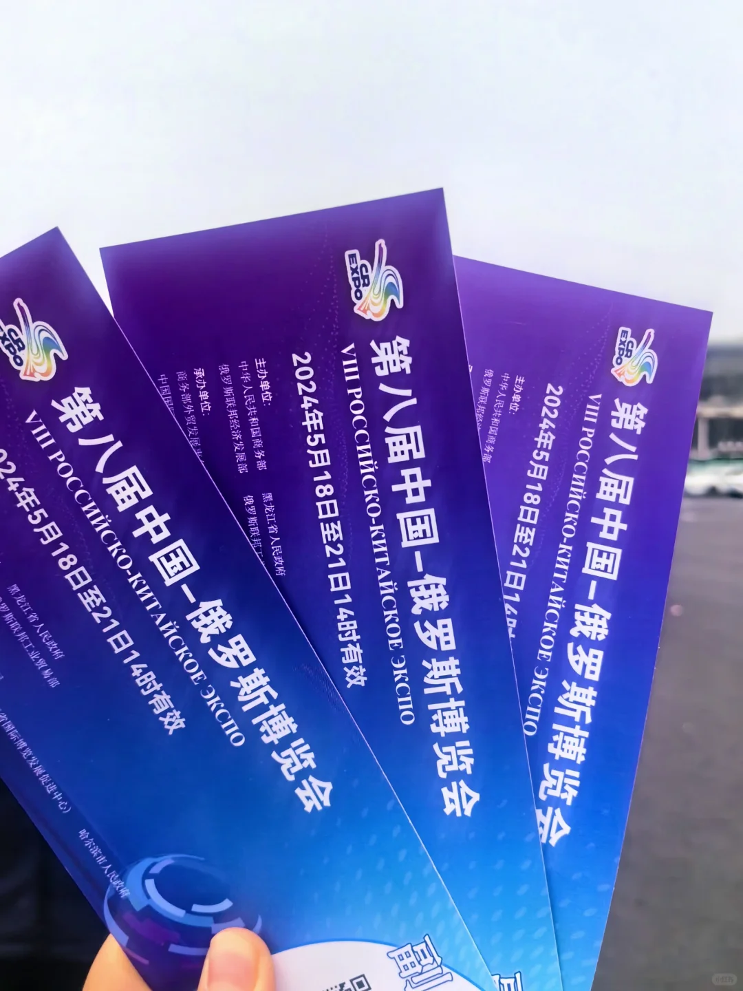 你们去中俄博览会都买啥了